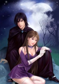 冒险婚姻